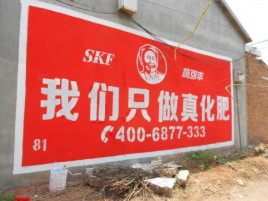 怒江刷墙广告”蕴含了时代命题