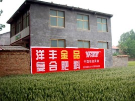 怒江如何让墙体广告展现最大化效果