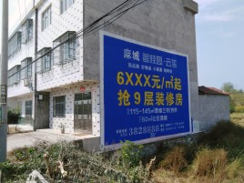 怒江墙体广告质量分析